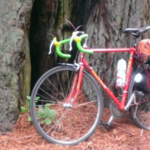 1986 Raleigh Prestige Red