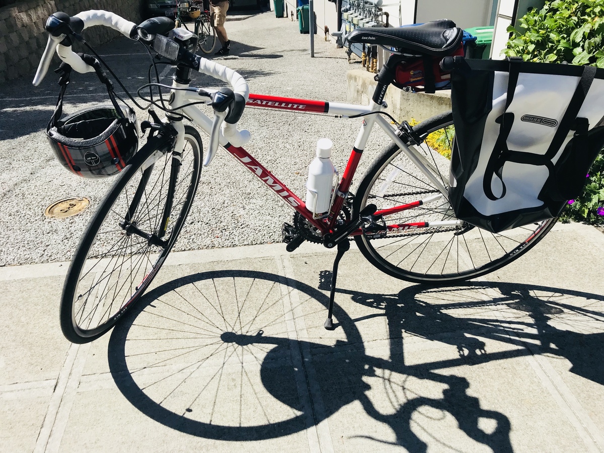 2008 Jamis Satellite