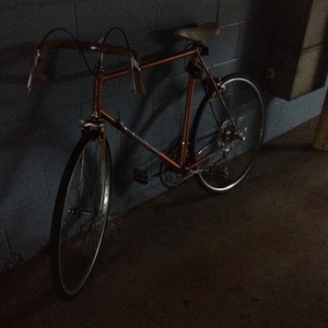 Flying Dutchman  Orange