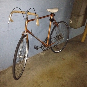 Flying Dutchman  Orange