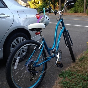 2014 Electra Townie  Blue
