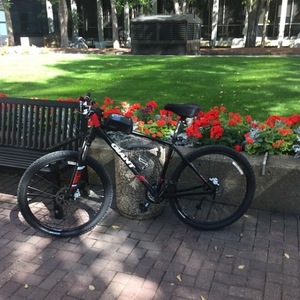 2015 Giant Large Black and Red