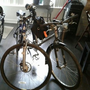 2008 Brodie Quantum Blue