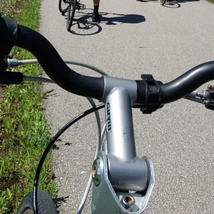 Schwinn Green