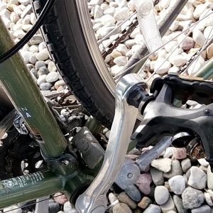 Schwinn Green