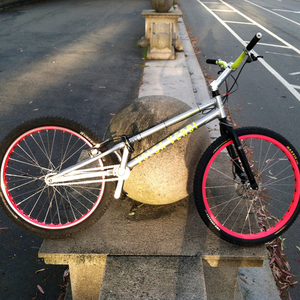 2012 Bionic / Volga Verdi b5-R  Silver or Gray