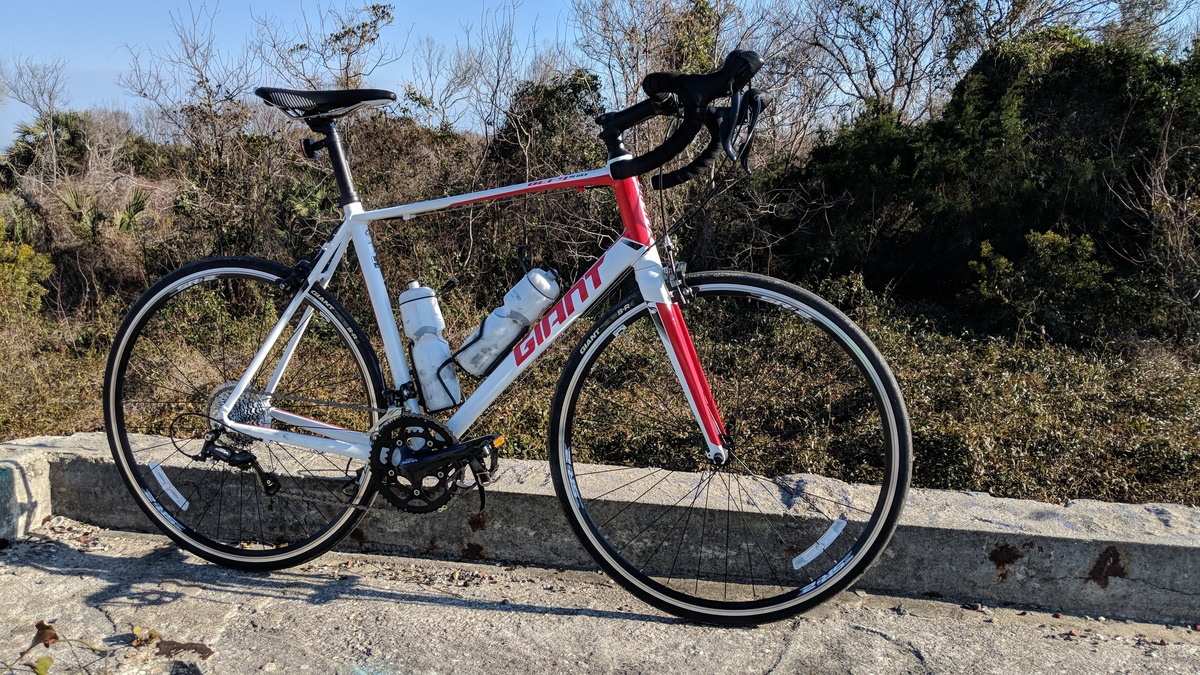 beach cruiser front forks