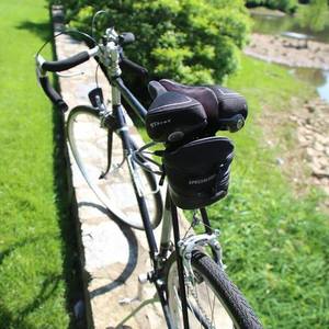 Raleigh Vintage Raleigh Team Record Silver or Gray