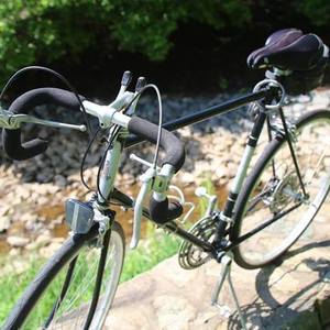 Raleigh Vintage Raleigh Team Record Silver or Gray