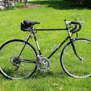 Raleigh Vintage Raleigh Team Record Silver or Gray
