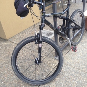 1995 Santa Cruz Heckler Green