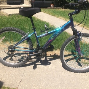 Avigo Diamond Ladies Teal and Purple