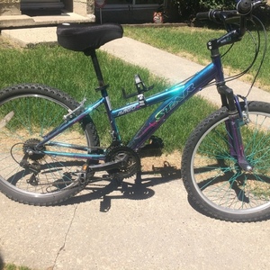 Avigo Diamond Ladies Teal and Purple