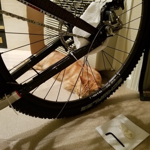 2014 Diamondback Mason Pro 29" Silver or Gray and Red