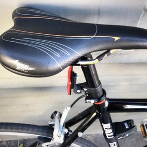 Raleigh Sport (atomic) Black and White