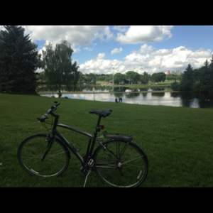 2009 Specialized Sirrus Silver or Gray
