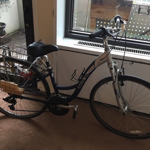 2009 Trek Blue and Silver or Gray