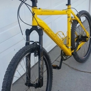 Specialized Yellow or Gold