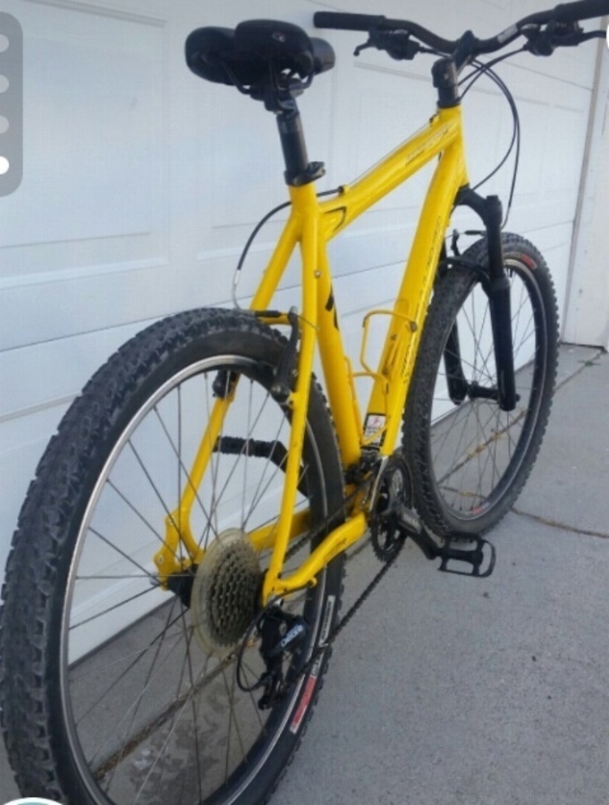 specialized rockhopper yellow