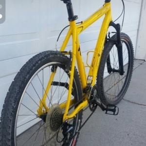 Specialized Yellow or Gold