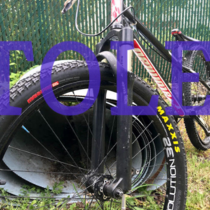 Atomlab low frame Black