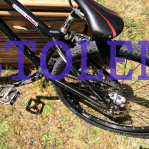Atomlab low frame Black