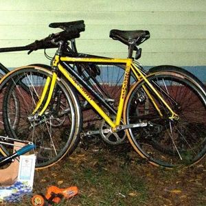 Guerciotti dk  Yellow or Gold