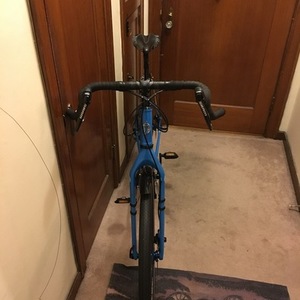 Salsa Fargo Blue