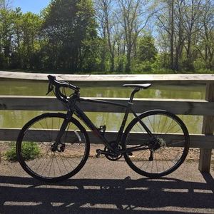 2016 Diamondback Century Silver or Gray