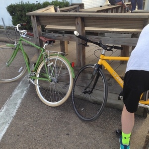 2016 Tribe Bicycle Co OPAFIETS Green