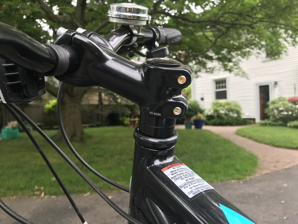 schwinn dsb dual sport