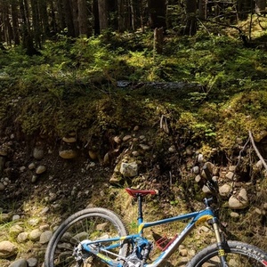 2015 Giant Anthem sx Blue