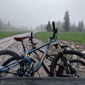 2015 Giant Anthem sx Blue