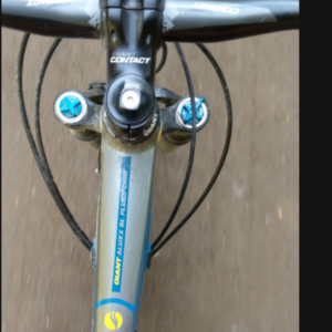 2015 Giant Anthem sx Blue