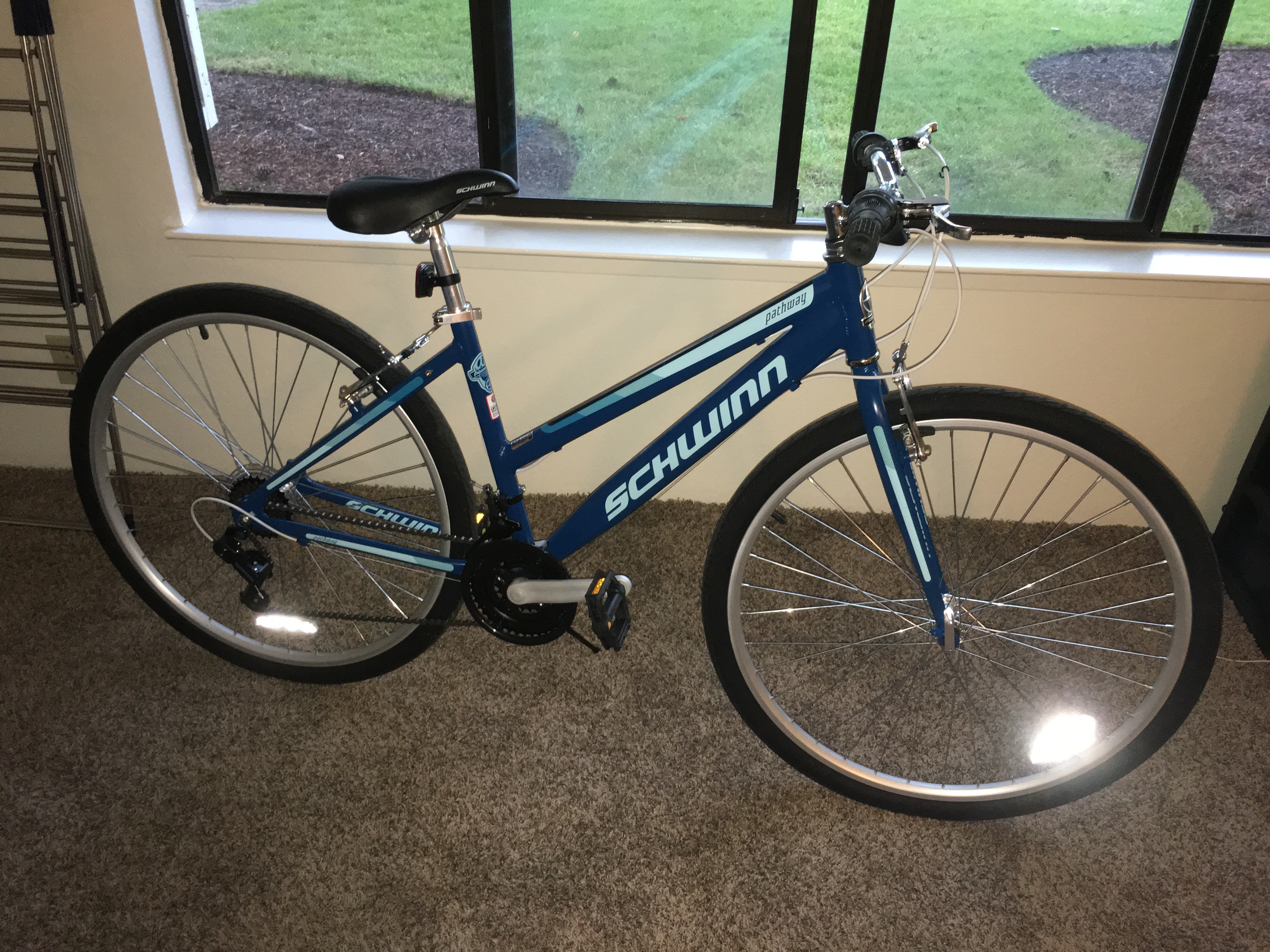 schwinn sky blue paint