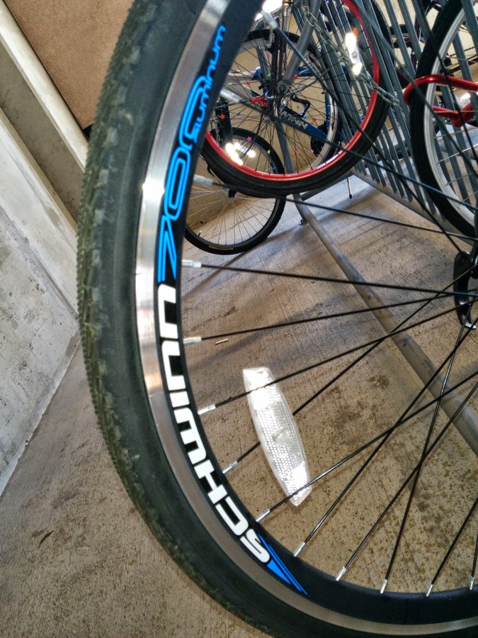 schwinn dsb dual sport