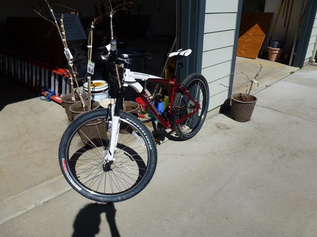 Bike photo