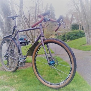 2017 Budd Bike Works Monster Cross Purple