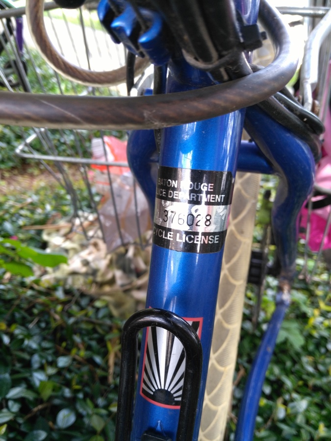 Bike photo