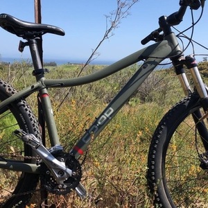 2017 REI Green