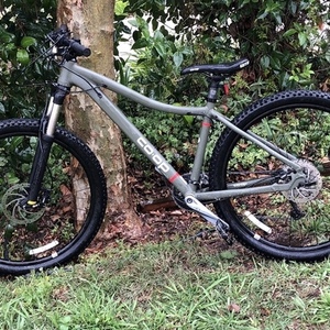 2017 REI Green