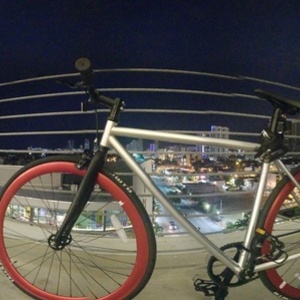2018 Tribe Bicycle Co Mattador Silver or Gray