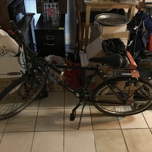 Trek 800 cargo bike (rear storage) Black and Teal