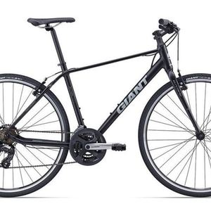 2016 Giant Giant Silver or Gray