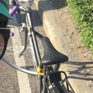 Schwinn Traveler Silver or Gray