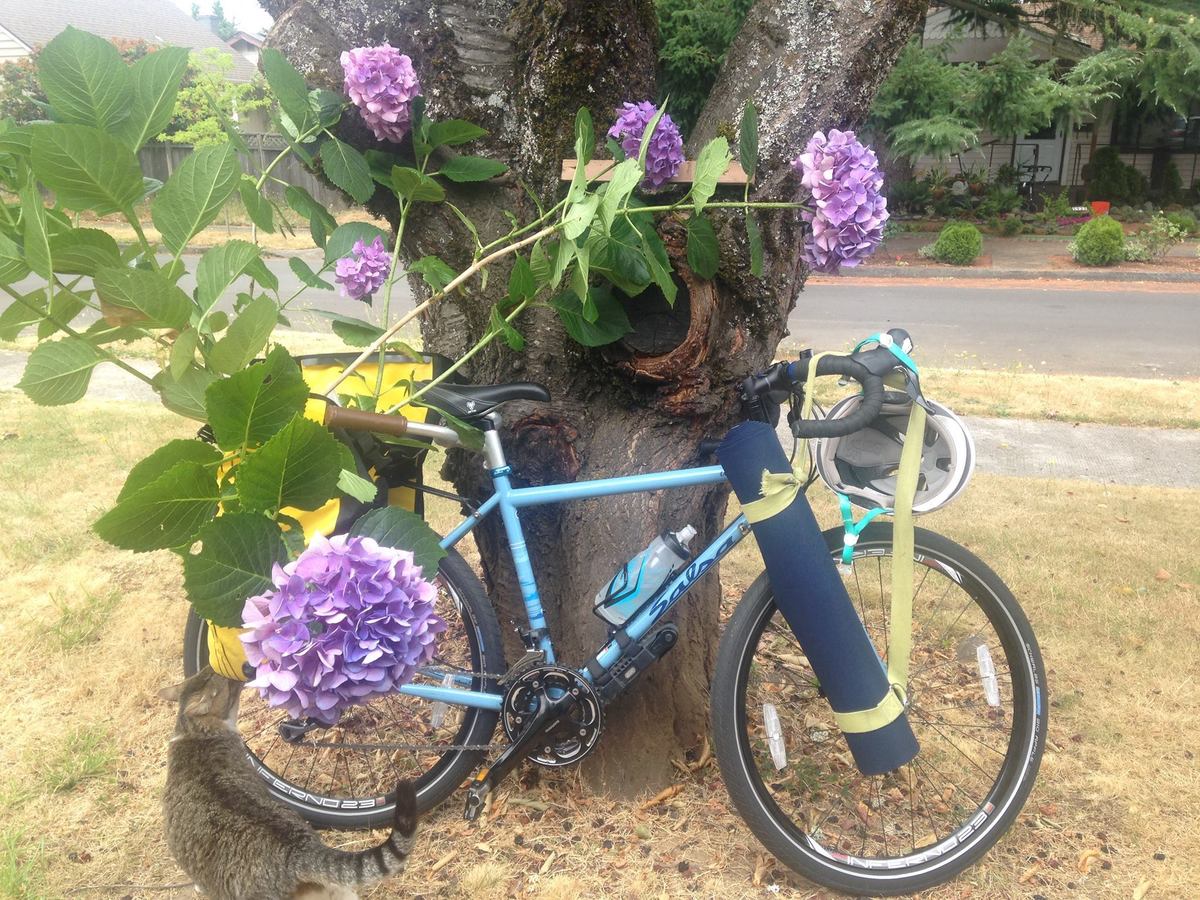 renthal mountain bike handlebars