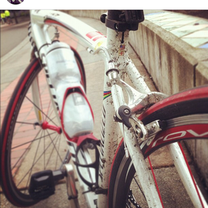 2009 Specialized Allez Sport Compact Double  White, Black, and Red