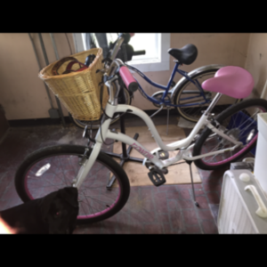 Electra 7D cruiser White and Pink