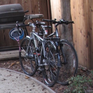 2011 Civia Bryant  Silver or Gray