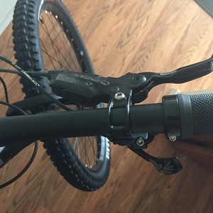 2018 Transition Bikes Sentinel Silver or Gray and Black